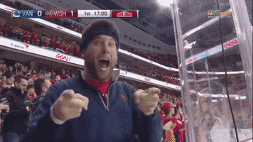 excited hockey GIF by Capitals