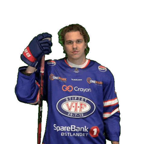 Blake Mclaughlin Sticker by VIF Hockey