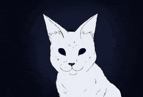 SAANH GIF