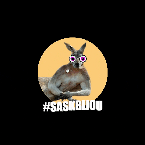 SASK Roeselare GIF