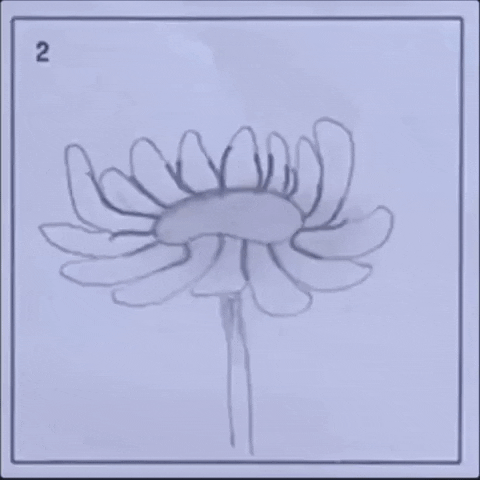 Digital illustration gif. Flip-book style images show the stages of a flower blooming with numbers in the top corner that change from 1 to 8. 