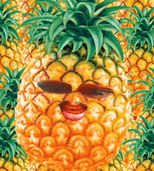 pineapple meme gif
