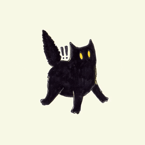 Surprised Black Cat GIF