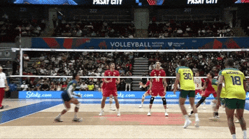 Point Love GIF by Volleyball World