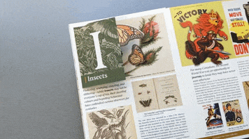 Pop Up Book Insects GIF by McGill University Library