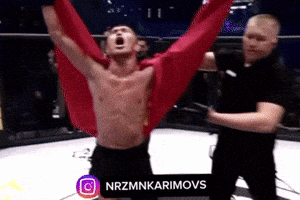 Ufc Marsel GIF by Customize iT