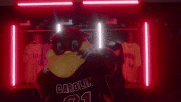South Carolina Baseball GIF by University of South Carolina