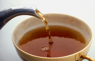 200.gif?cid=fc005b0840c1838af1caf4d05bc312d5c157f01812dac283&rid=200.gif&ct=g