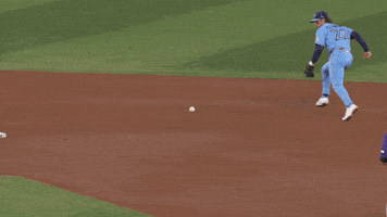 Blue Jays Baseball GIF by Toronto Blue Jays