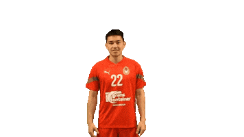 Cskahandball Sticker by CSKA men's handball club