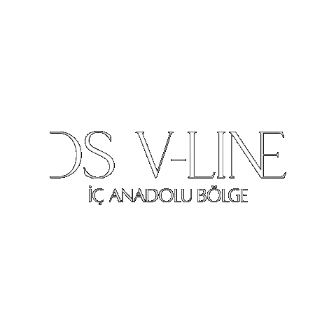 Dsvline İç Anadolu Sticker