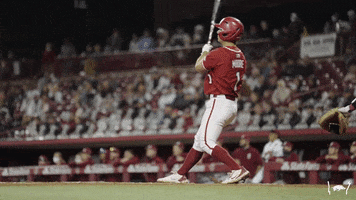 Home Run Baseball GIF by Arkansas Razorbacks
