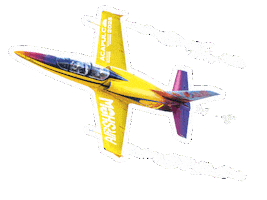 Airshow Sticker by GuerreroTravel