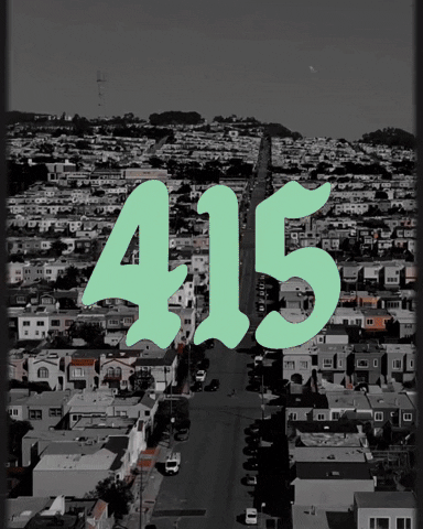 San Francisco GIF by Yevbel