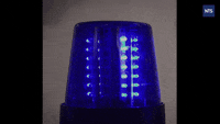 GIF GIF