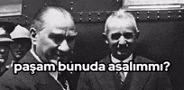 Ismet GIF