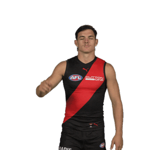 Dons Bombers Sticker by Essendon FC