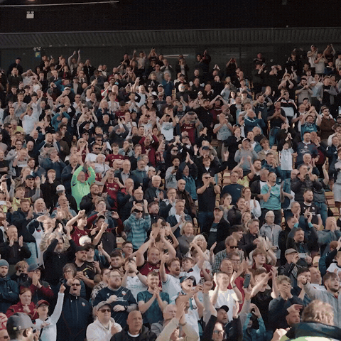 Football Fans GIF by Bolton Wanderers FC