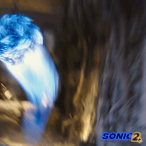 Paramount Pictures Speed GIF by Sonic The Hedgehog