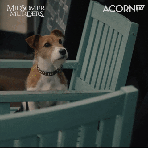 Trick Or Treat Halloween GIF by Acorn TV