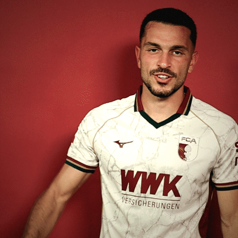 Bundesliga Ibrahimovic GIF by FC Augsburg 1907