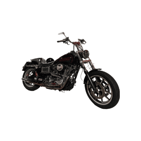 Motorcycle Moto Sticker by Bartels Harley Davidson