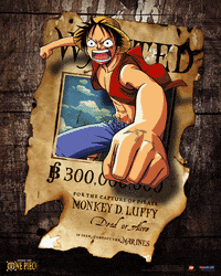 One Piece GIF  One Piece  Discover  Share GIFs