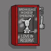 I Love You Break The Glass GIF by Chippy the Dog