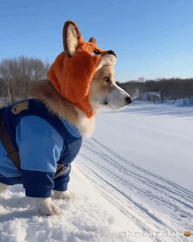 Puppy Puppies GIF