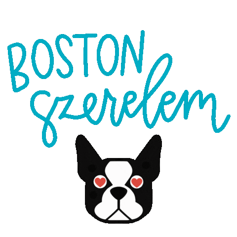 DogDream Sticker