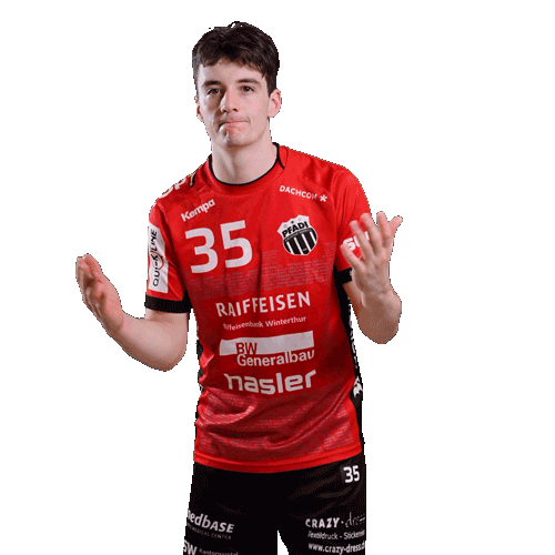 Pfadi Winterthur Handball Sticker