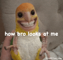Bird Smile GIF