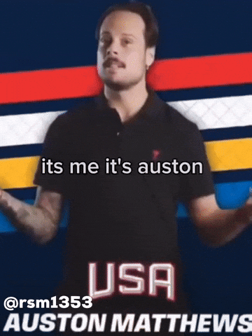 Toronto Maple Leafs GIF