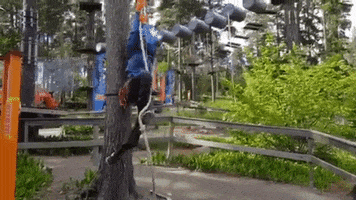 GIF by Flowpark