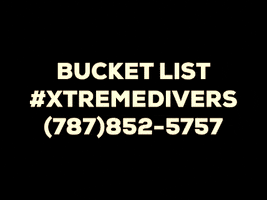 Xtremediverswest GIF