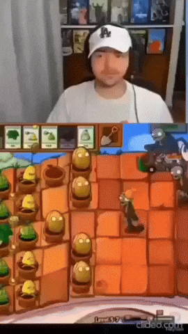 Argentina GIF