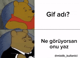 Mistik Kullanici GIF