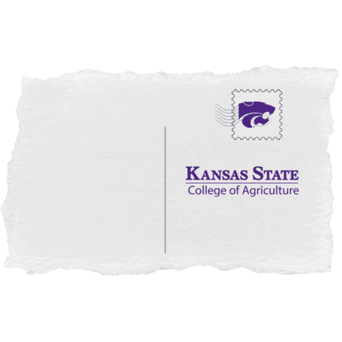 ksu.ag Sticker