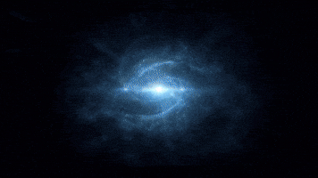 Crypto Privacy GIF by Litecoin