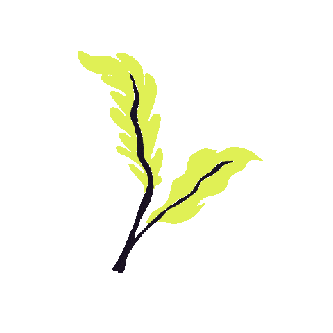 Kumana - Wild Arepas Sticker