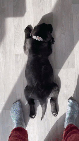 Animated GIF