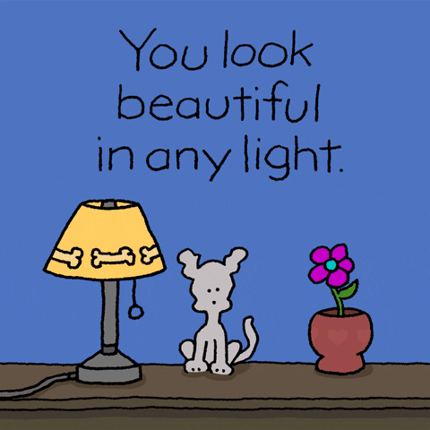 Illustrated gif. A small white dog sitting on a table between a lamp and a pink flower. The white dog claps, then turns off the light. The room is dark and the dog gives a thumbs up. The dog turns the light to a dim setting and then puts its paws up in celebration. The Text above says in jittery letters, “You look beautiful in any light.” 