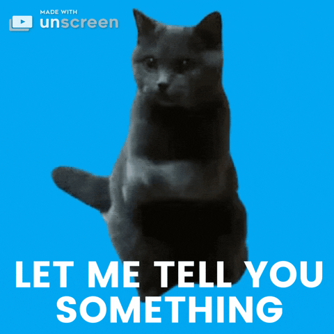 Listen To Me Cat GIF by Unscreen