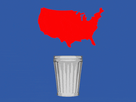 Trump Vote GIF