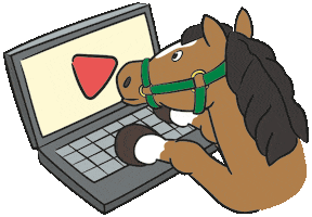 Persönliche Mitglieder der FN Sticker