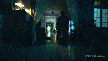 Horror GIF