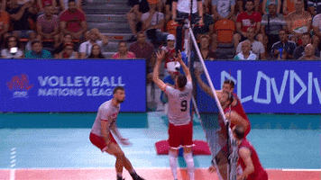 Power Smash GIF by Volleyball World