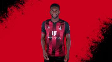 Happy Dance GIF by AFC Bournemouth