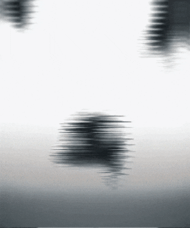 Sunny GIF