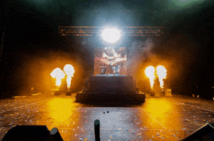 twofriends music party fire dj GIF
